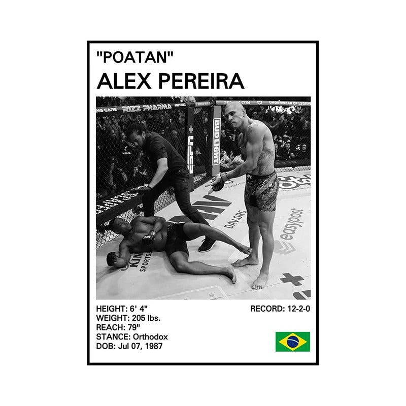 MMA Legends Poster